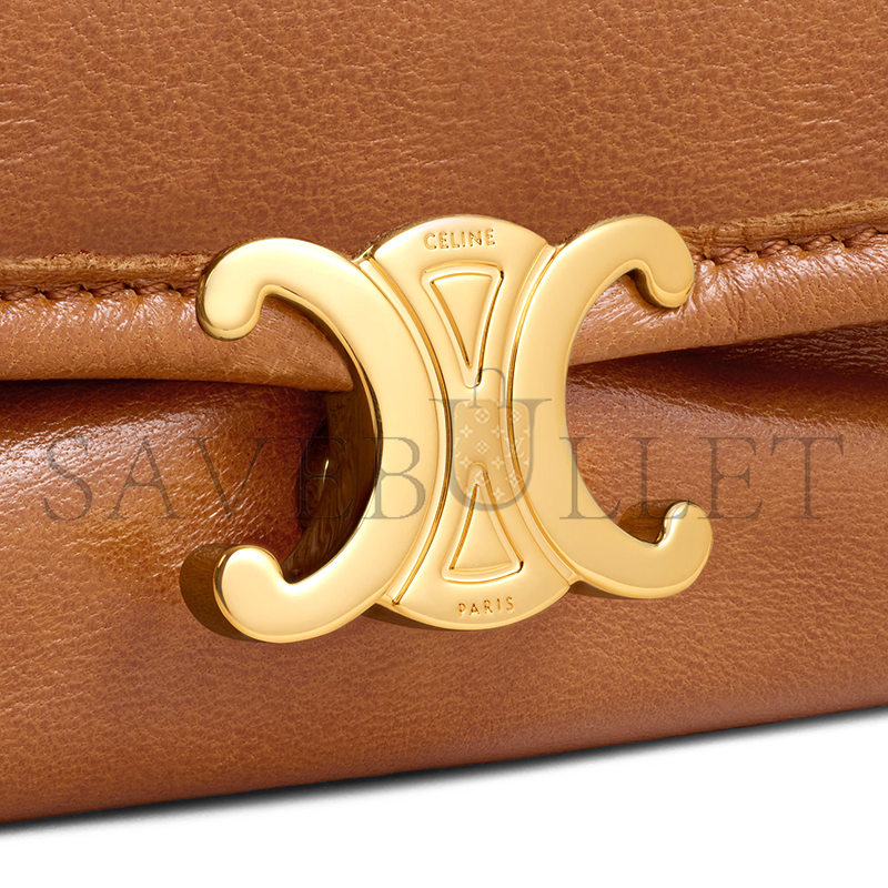 ce1i*e halfmoon soft triomphe bag in S*pple shiny lambskin 124142t88.gfy5 (46*19*10cm)